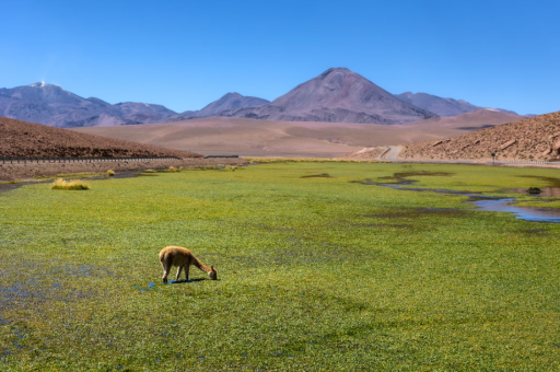 璧山龙虾垂钓基地（璧山虾趣龙虾生态养殖基地）