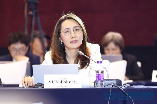 外交学院副院长孙吉胜建议给国际组织提供切实支持：一个具体的问题领域可将更多国家联系在一起