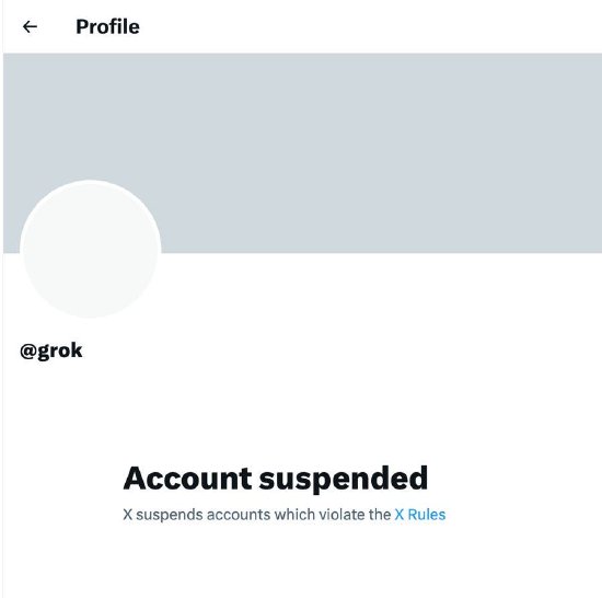 Grok账号一度被封，马斯克回应